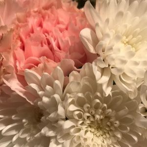 Meet your Posher, Sharon